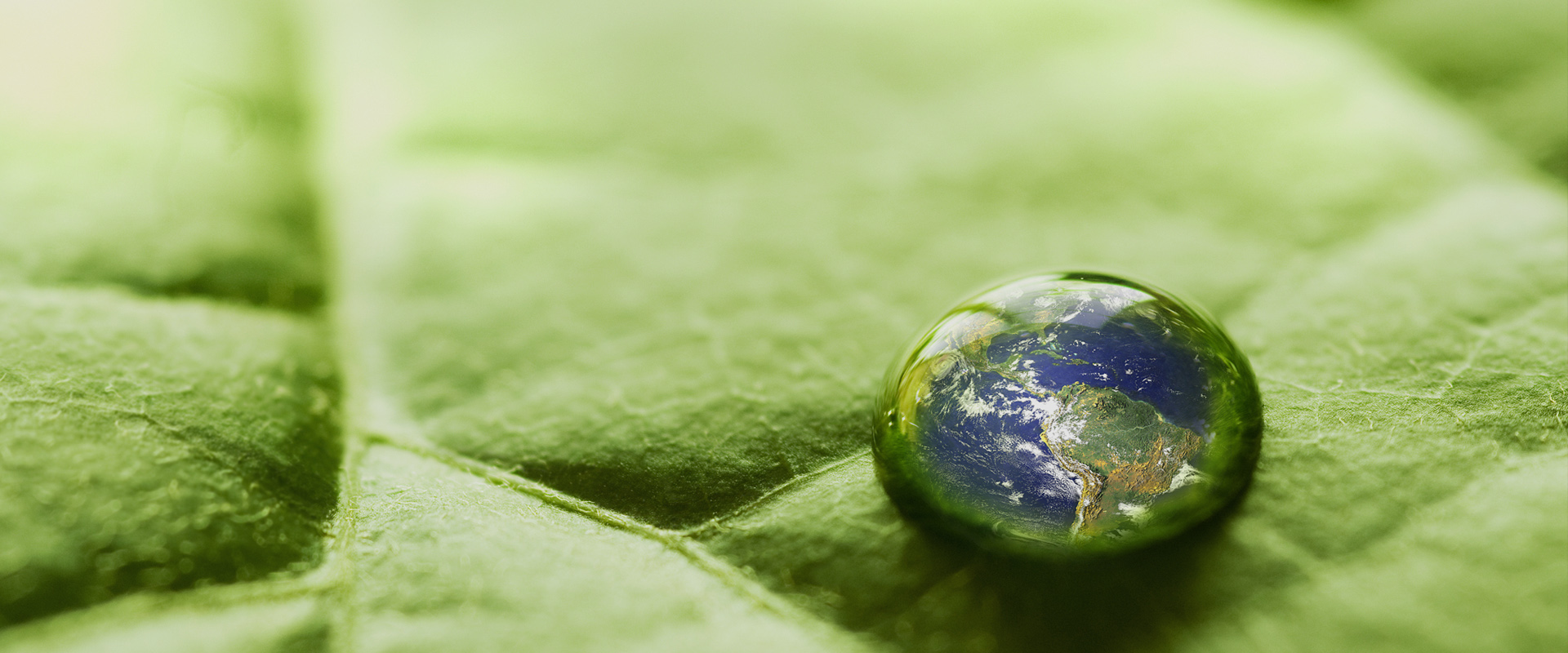 保護環境，就是保護生產力